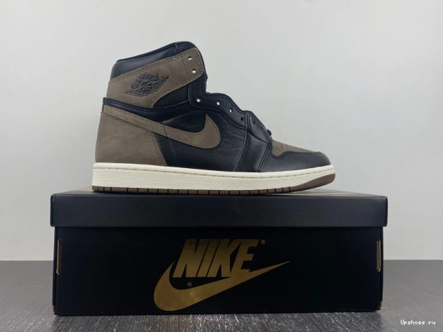 Palomino Jordan Retro DZ5485-020  OG  1  High 0808